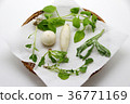 Seven herbs of spring 36771169