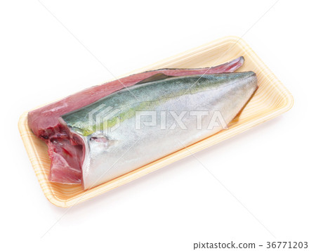 Tsubas, Wakashi (breast fish, less than 35 cm) from Tottori prefecture Tsubas, Wakashi (breast fish, less than 35 cm) from Tottori prefecture 36771203
