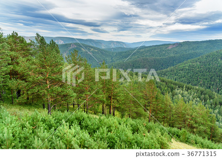 View on Takmakovsky district Reserve Stolby Nature View on Takmakovsky district Reserve Stolby Nature 36771315
