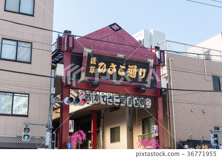 Asakusa Hisago Street shopping street 36771955