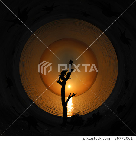 Climber cutting the tree with ocean view sunset Climber cutting the tree with ocean view sunset 36772061