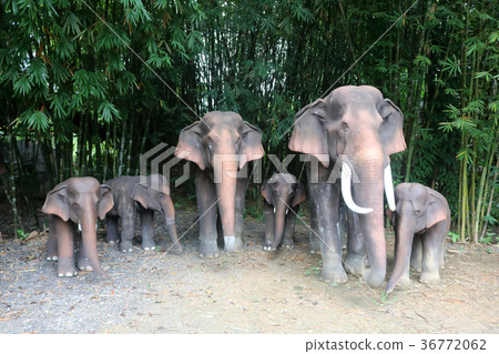 The elephant statue in the nature garden 36772062