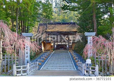 高野山空王寺 和歌山縣伊東郡高野町高野山 照片素材 圖片 圖庫