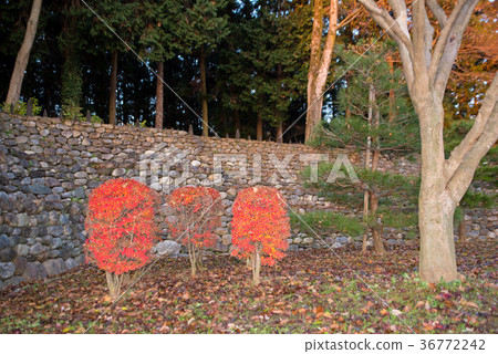 Hachigata城堡廢墟石垣Dodantsuji秋葉Hachigata城堡公園 36772242