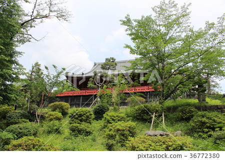 Kanei-ji Shimizu Kannon Hall Kanei-ji Shimizu Kannon Hall 36772380