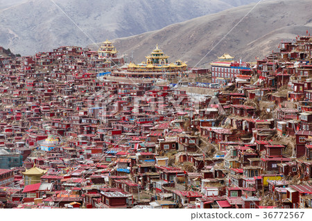 Top view monastery at Larung gar Top view monastery at Larung gar 36772567
