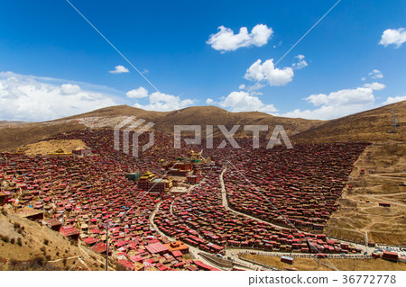Top view monastery at Larung gar Top view monastery at Larung gar 36772778