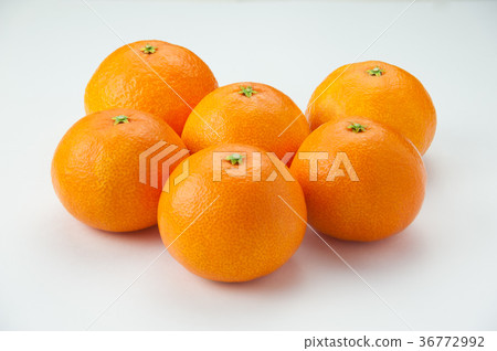 Red Madness Red Madness 36772992