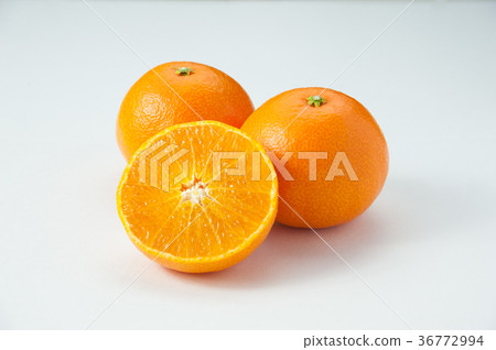 Red Madness Red Madness 36772994