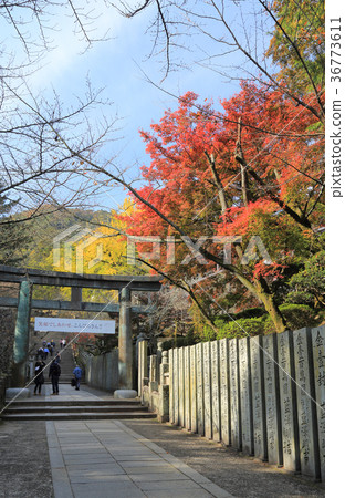 Kotohiragu神社 Sakura Baba 的秋叶 背景是mt 图库照片