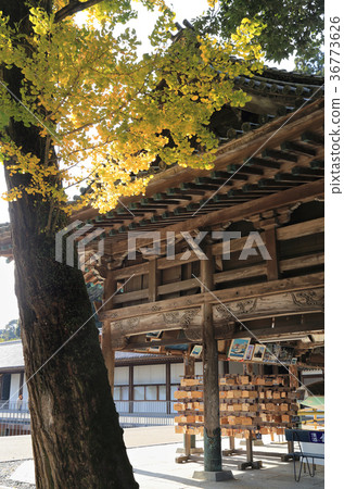Kotohiragu Shrine“Edo-do” 36773626