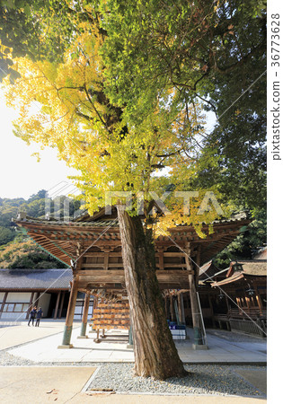 Kotohiragu Shrine“Edo-do” 36773628