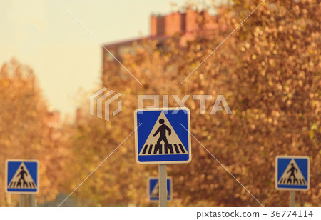 Crosswalk signs in urban area Crosswalk signs in urban area 36774114