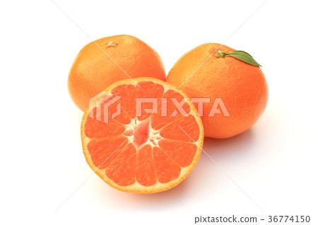 Wenzhou oranges Wenzhou oranges 36774150