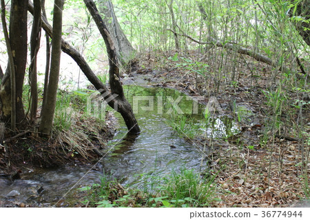Spring water of Ryuokyo and Hakuryukyo 36774944