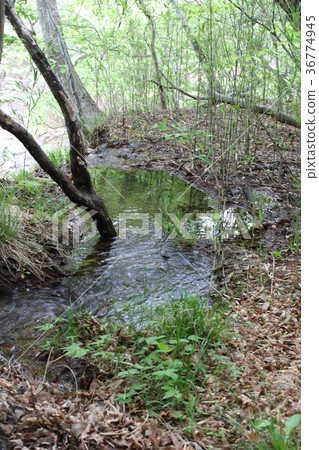 Spring water of Ryuokyo and Hakuryukyo 36774945