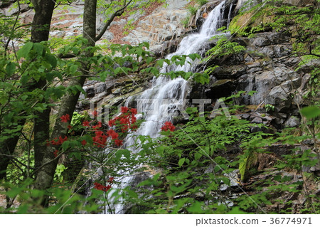Ryuo峽谷，Hakuryu峽谷，彩虹瀑布 36774971