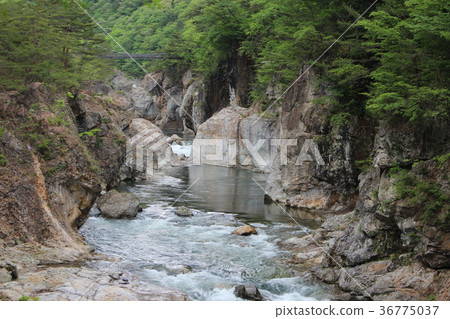 Ryuusyo · Shiryu gorge 36775037