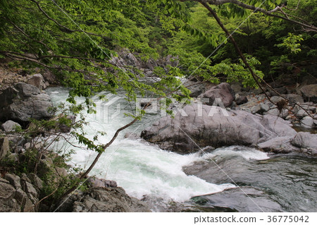 Ryuo Gorge / Shiryu Gorge 36775042
