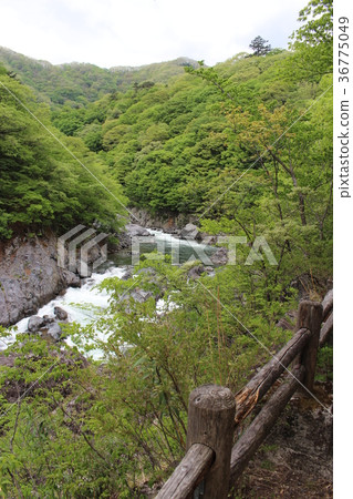 Ryuo峽谷和Shiryu峽谷的自然搜索路徑 36775049