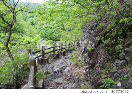 Ryuo峽谷和Shiryu峽谷的自然搜索路徑 36775052