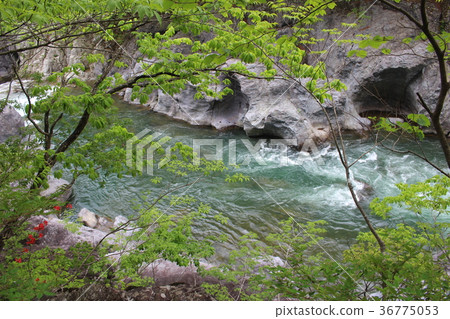 The caves of Ryuokyo and Seiryukyo The caves of Ryuokyo and Seiryukyo 36775053