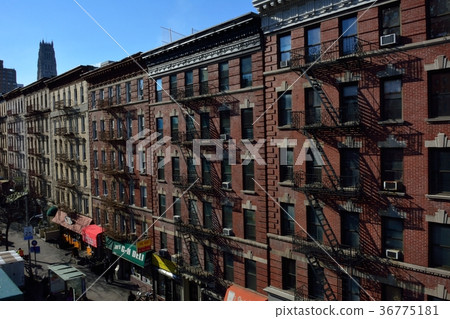  New York  36775181