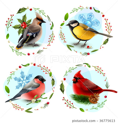 Winter Birds Design Concept Winter Birds Design Concept 36775613