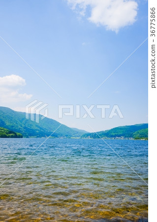 春天/新鮮的綠色湖Kizaki 36775866