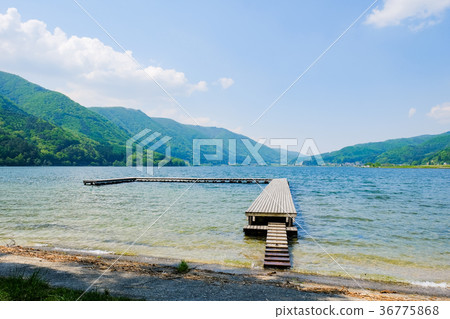 Spring / fresh green Lake Kizaki Spring / fresh green Lake Kizaki 36775868