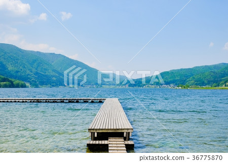 Spring / fresh green Lake Kizaki Spring / fresh green Lake Kizaki 36775870