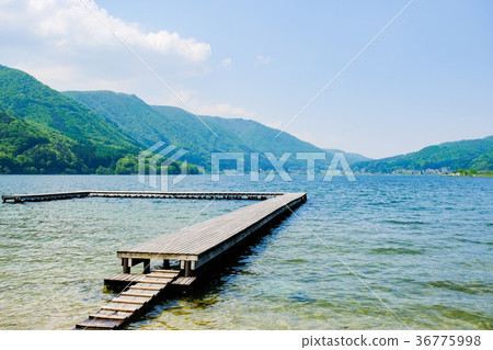 春天/新鮮的綠色湖Kizaki 36775998