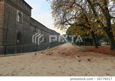 Milan Sempione Park 36776017