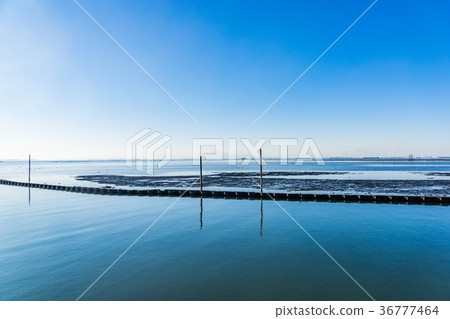 [Chiba] Egawa Coast 36777464
