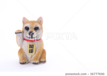 Invitation dog 36777690