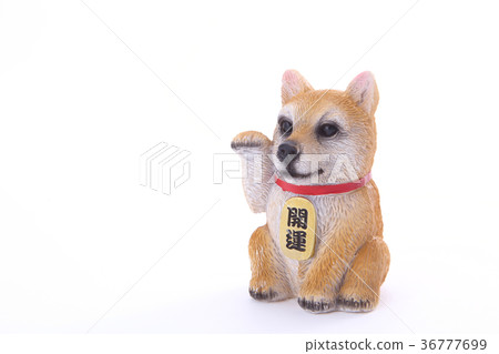 Invitation dog Invitation dog 36777699