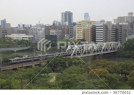 Hanwa Line直線223系列 36778032