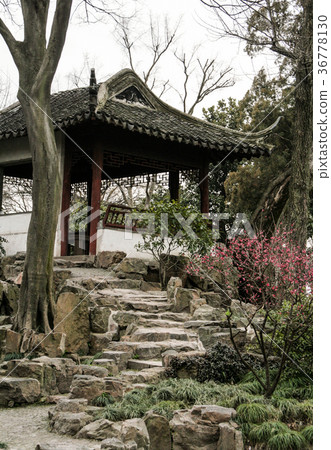 Beautiful Chinese gardens 36778130