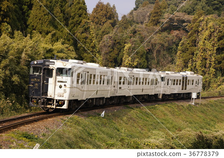 White and black car body limited express "Ibusuki Tama box" (Ki 47 · 140) 36778379