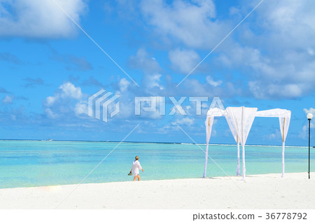 Holiday and travel concept Holiday and travel concept 36778792