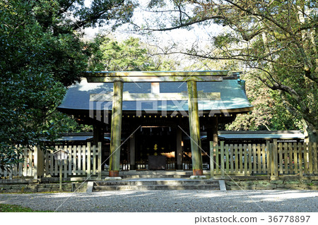 Wakayama Pref. Miyamoto-don 36778897