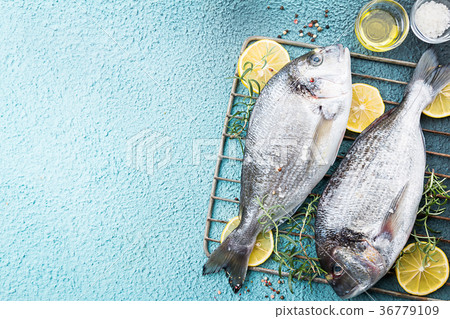 Fresh uncooked dorado 36779109