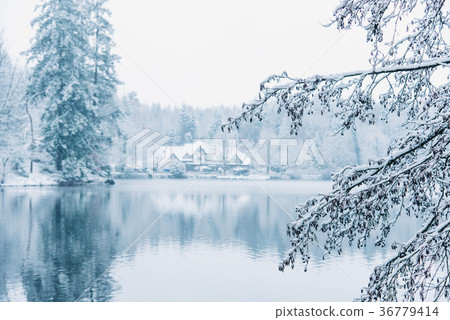 Winter house in snowy forest on lake. Winter house in snowy forest on lake. 36779414