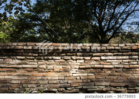Ancient wall texture / ancient brick wall 36779893
