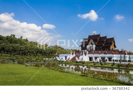 The largest flower gardens in Thailand The largest flower gardens in Thailand 36780342