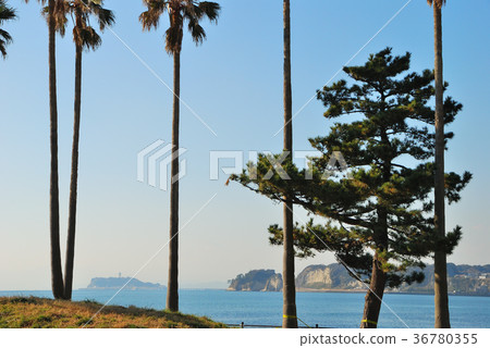 Saeko Marina Scenery of Saeko City, Kanagawa Prefecture 36780355