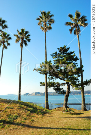 神奈川縣佐伯市的Saeko Marina風景 36780358