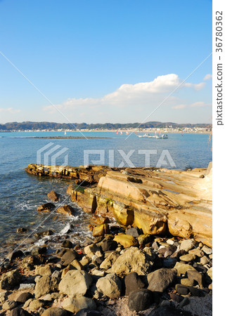 神奈川縣佐伯市的Saeko Marina風景 36780362