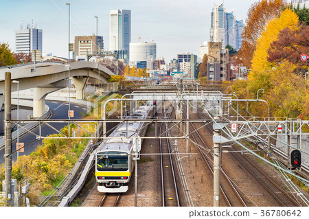Urban railway running in the autumn leaves Urban railway running in the autumn leaves 36780642