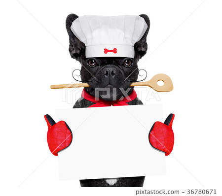 chef cook dog chef cook dog 36780671